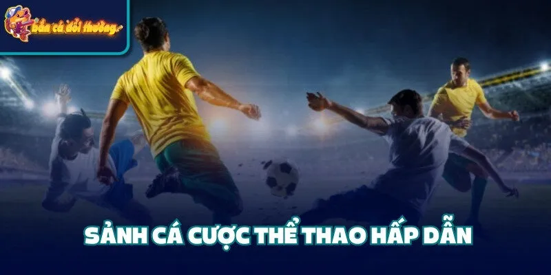 Cổng Game Vip79 - Địa Điểm Cá Cược Chất Lượng Hàng Đầu 4 Sảnh cá cược thể thao hấp dẫn